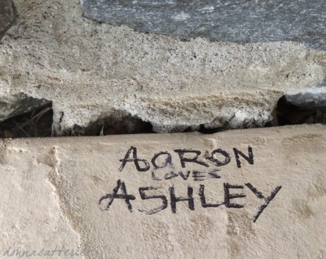 aaron-ashley